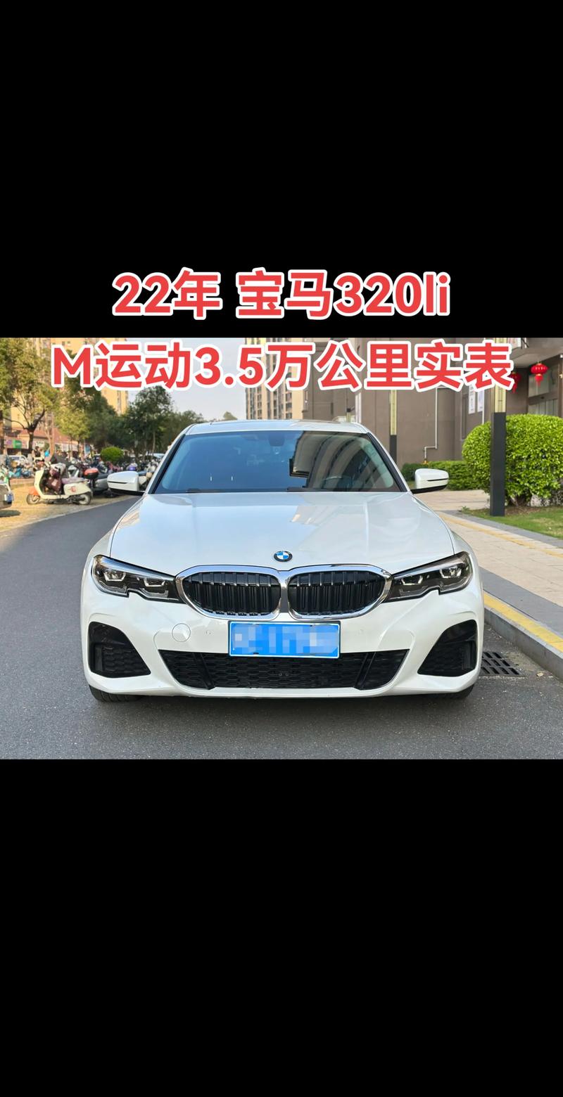 【宝马320的价格,宝马320售价】