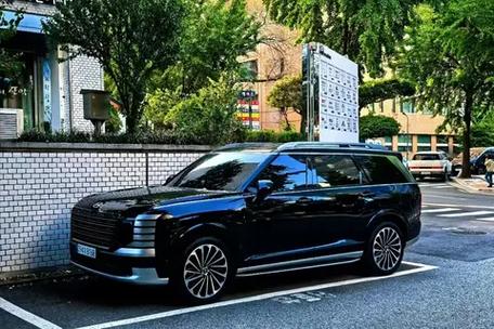 帕里斯帝评测,帕里斯帝使用感受