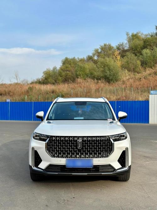 【一汽奔腾t99多少钱,一汽奔腾t99质量可靠吗】