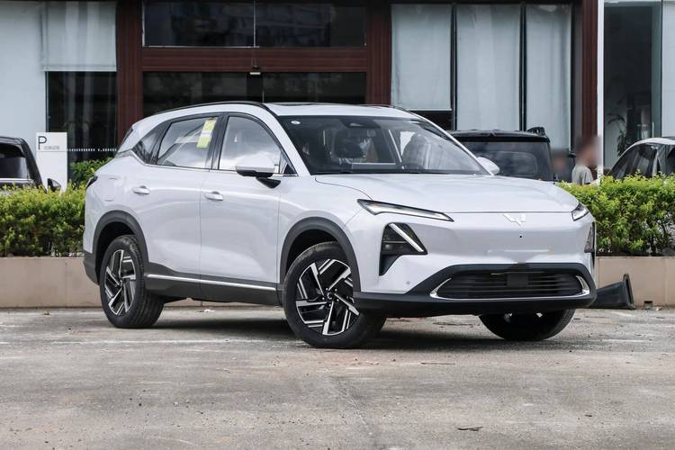 suv汽车推荐/10万左右的新能源suv汽车推荐