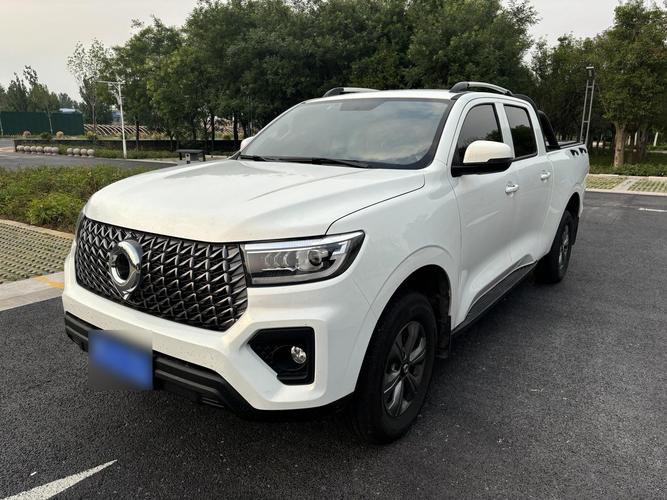 【长城炮越野2024款价格及图片,2021年长城炮最新款】