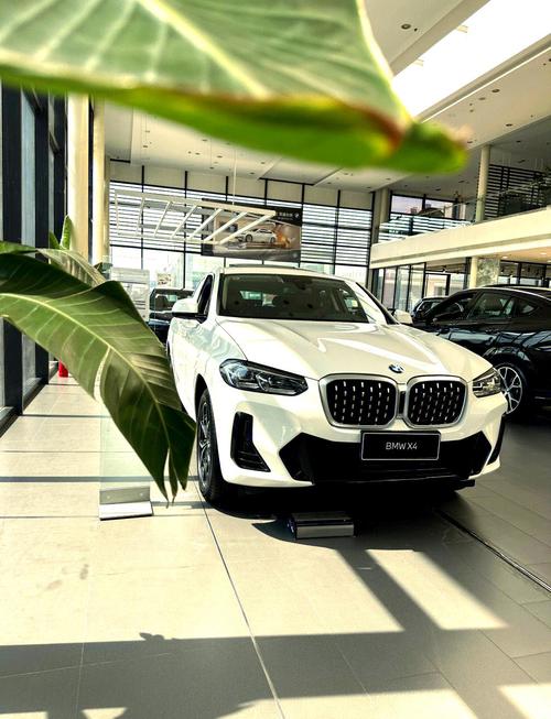 宝马x4新款2023款多少钱(宝马最新款x4)