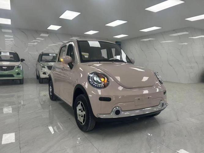 新能源甲壳虫电动车(外观像甲壳虫的电动车)