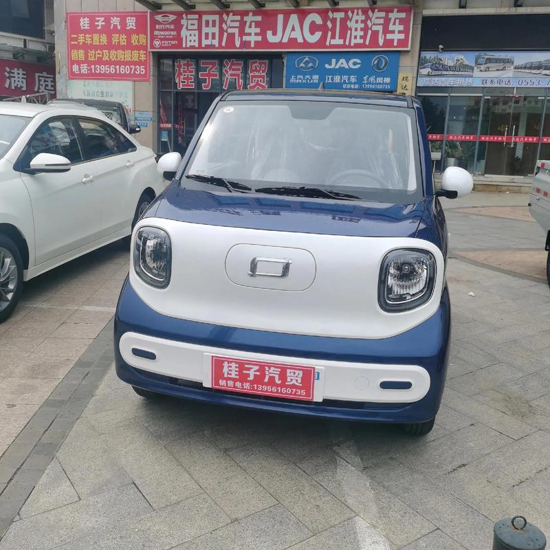 微型纯电动汽车排名(微型纯电动汽车十大名牌)