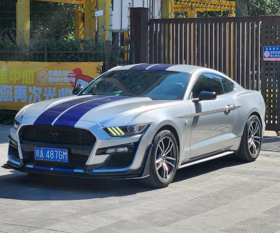 国产野马汽车报价/国产野马价格