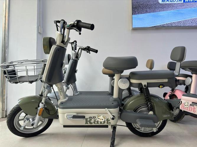 家用电动车排名前十名 家用电动车哪个品牌性价比最高