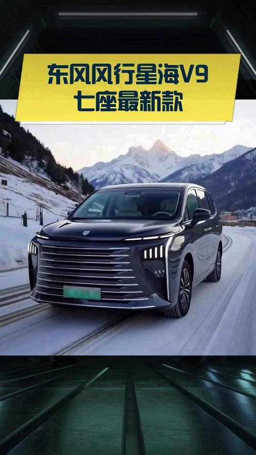 东风风行星海v9车/东风风行v8