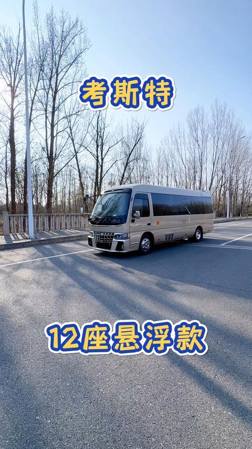 12座蓝牌商务车 12座蓝牌车什么驾照