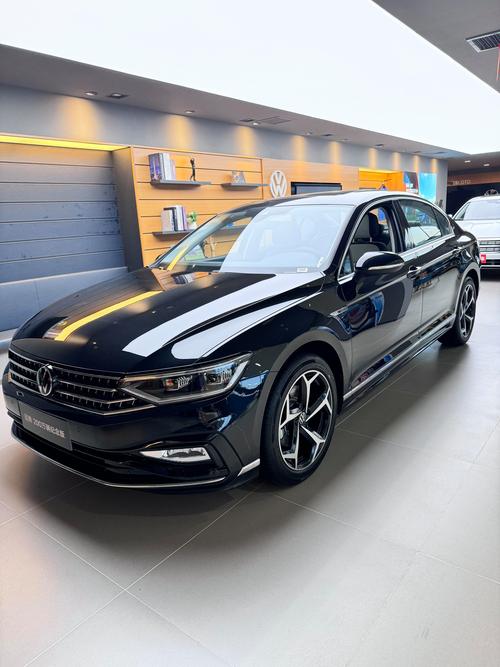 大众迈腾越野车图片(大众迈腾越野型)