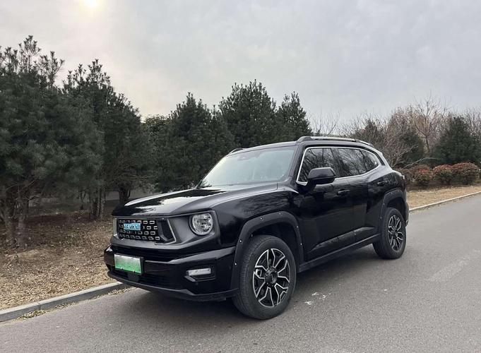 哈弗大狗车主真实口碑/哈弗大狗这车怎么样?