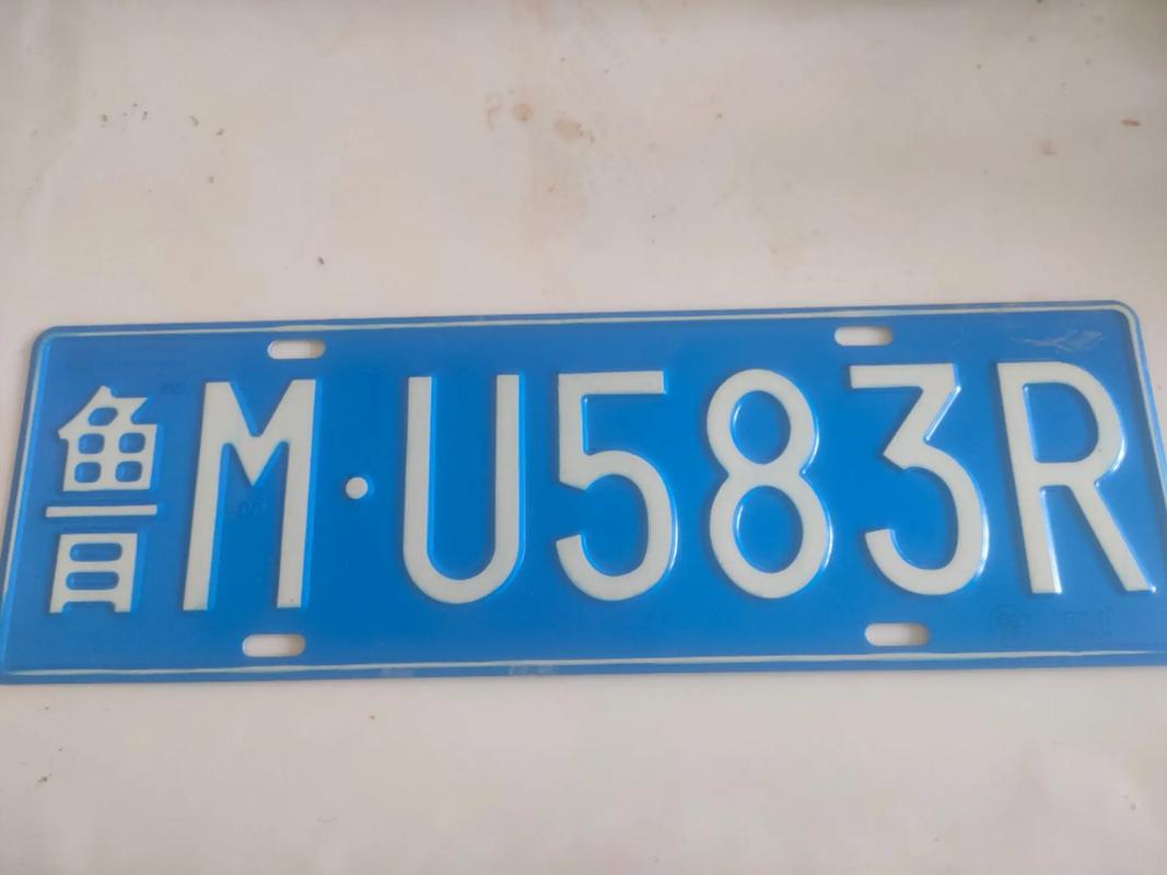 中国最丢人的车牌是哪里 中国最流弊的车牌