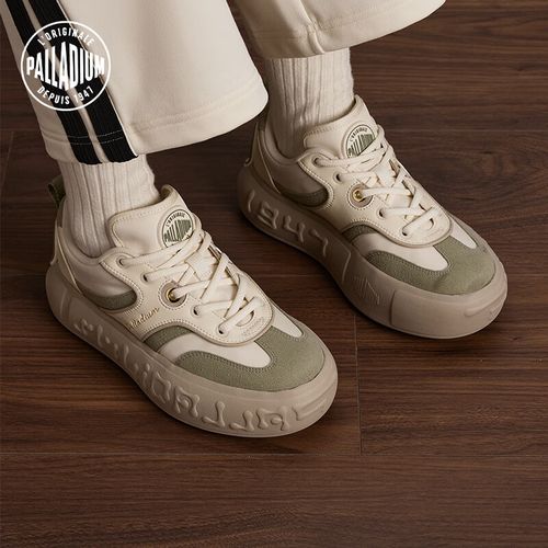 帕拉丁历史/帕拉丁的由来