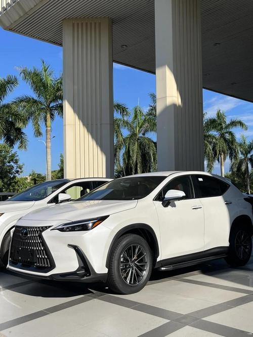 【千万别买雷克萨斯nx,雷克萨斯nx好吗】