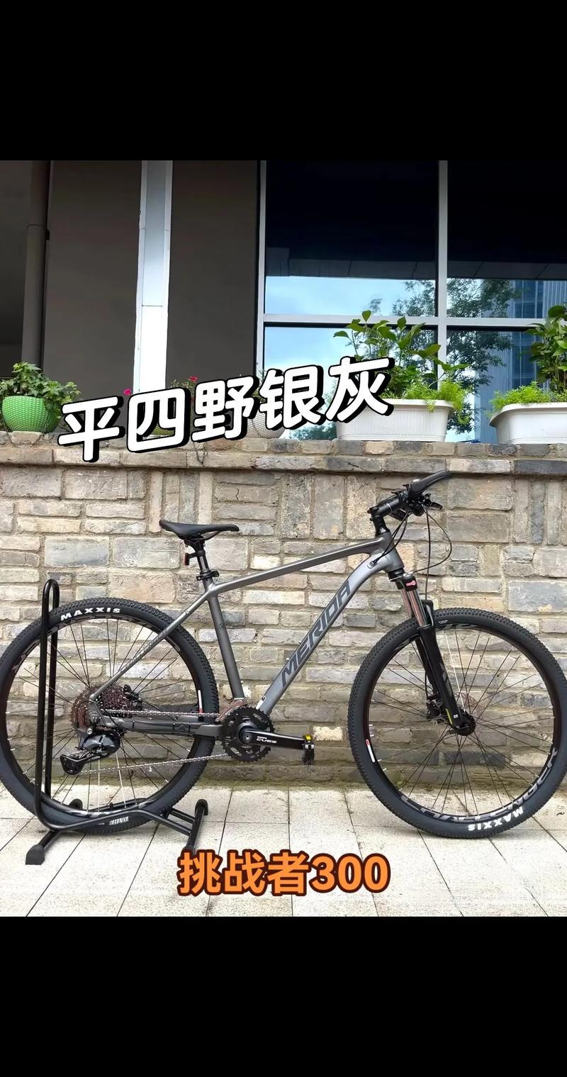 【挑战者300详细参数,挑战者300参数配置详细】