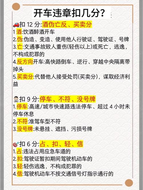 中国交通违章查询网/中国交通违章查询网免费查询