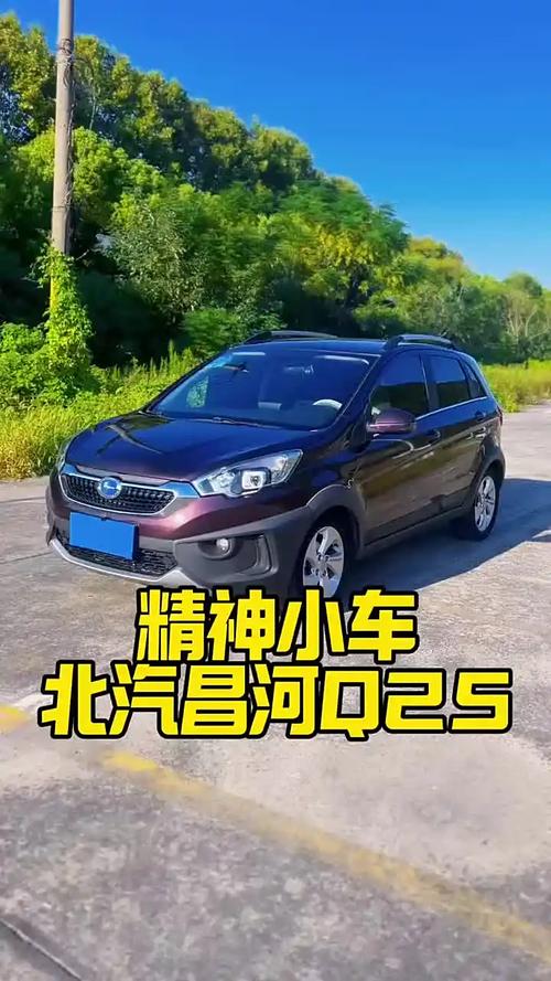 【昌河q25价格及图片,昌河q25价格及图片2016款手动质量怎样油耗怎么样】