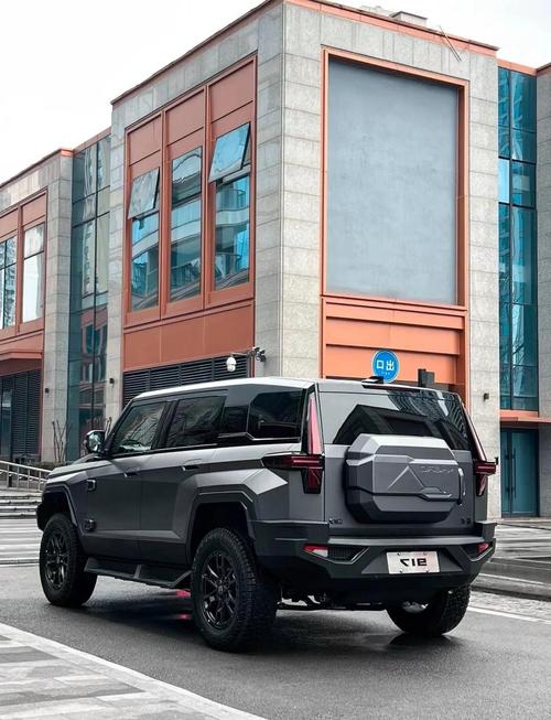 国产最强越野车,国产车最好的越野车