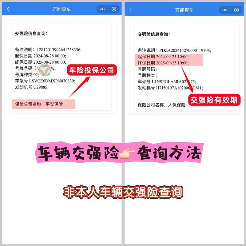 交强险保单查询系统(交强险保单查询系统在哪里)